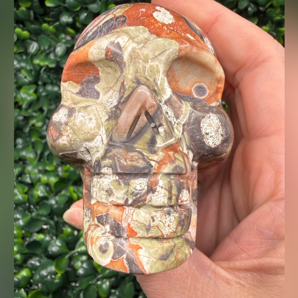 Money Agate (Indonesian Bloodstone) Skull Carving - Picture 4 of 8